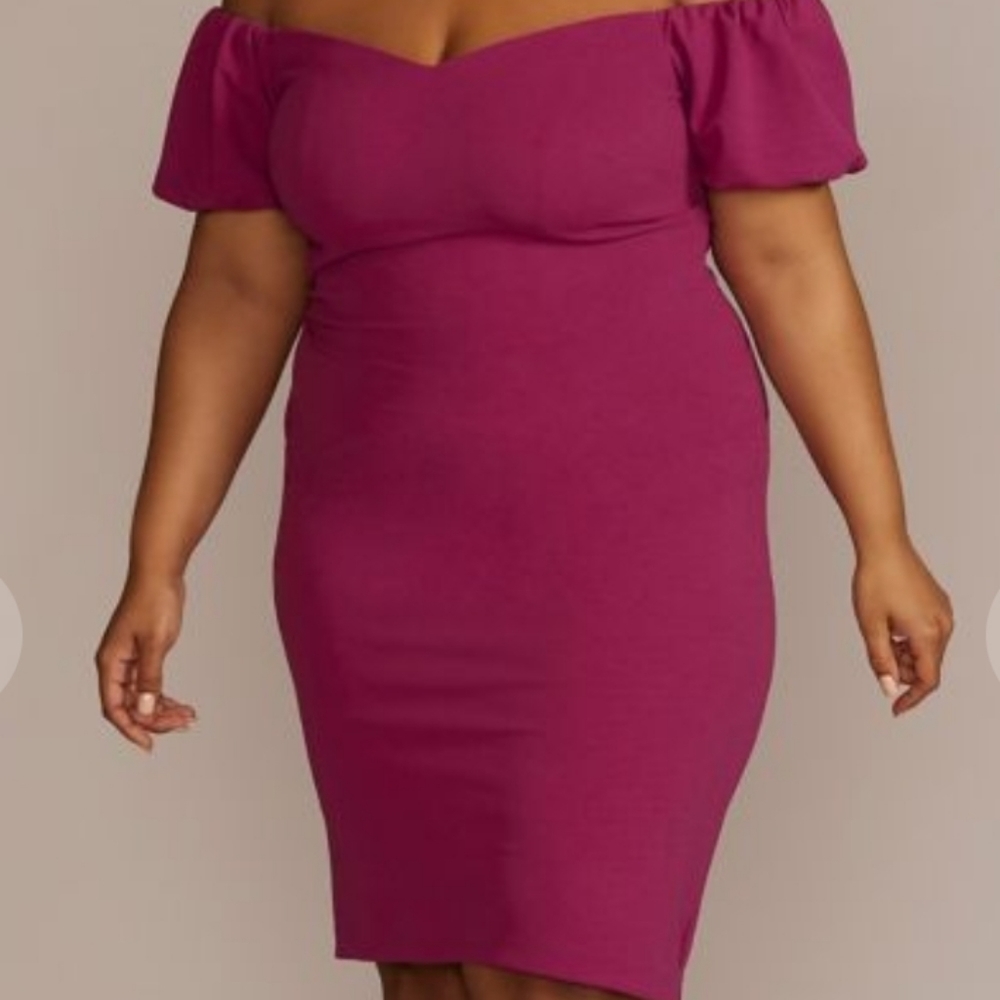 Davids Bridal formal dress NWT size 20